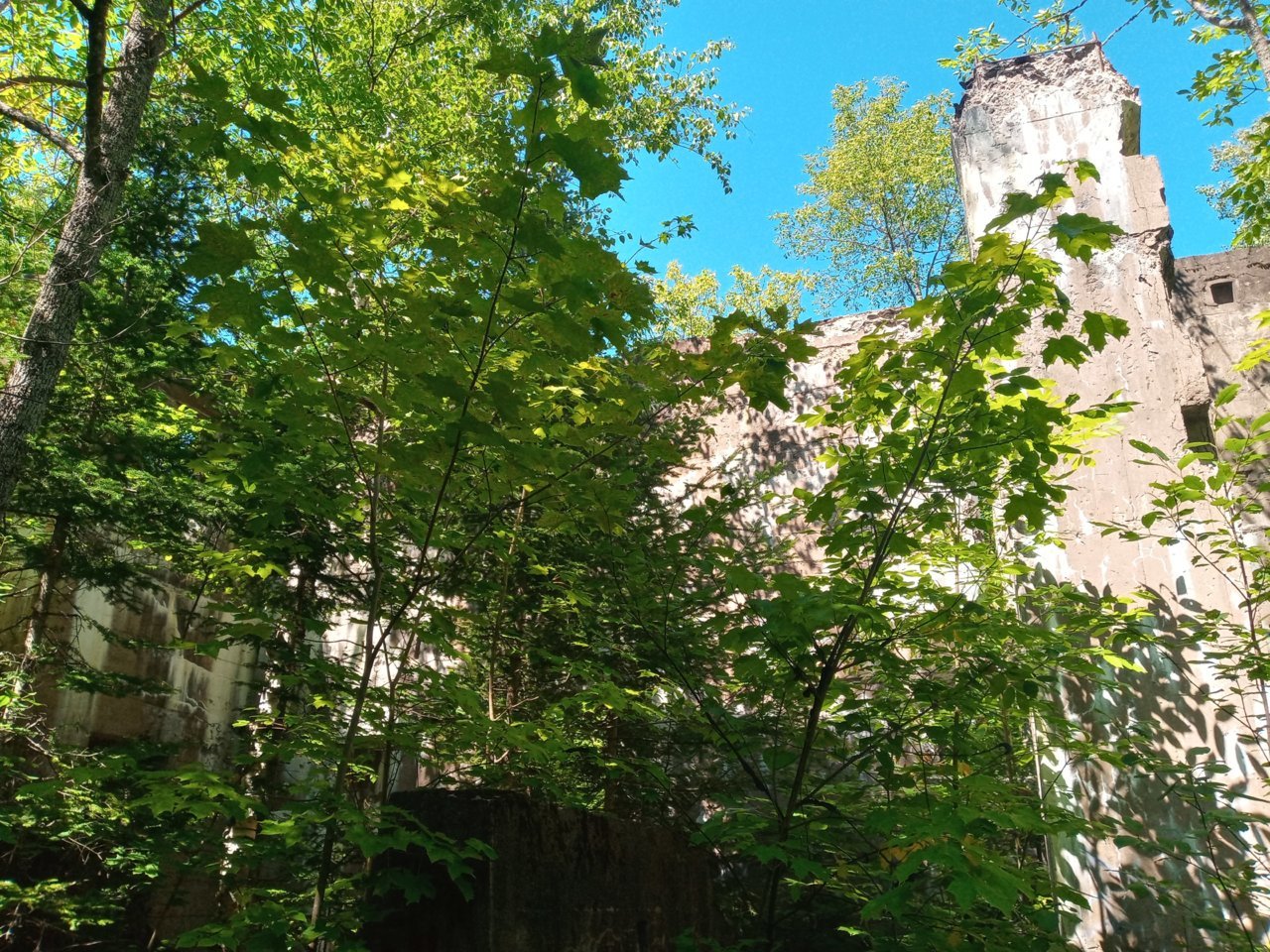 Berkshire Mine Ruins 3.jpg