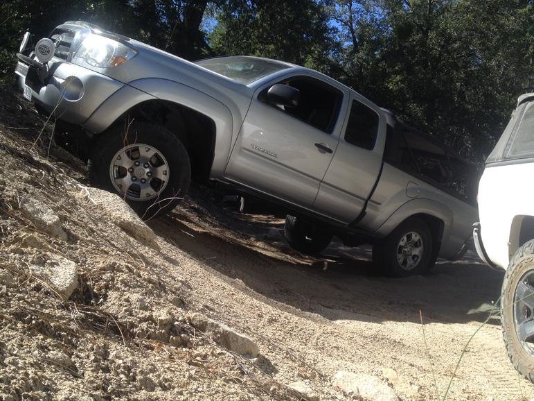 bessie flexing.jpg