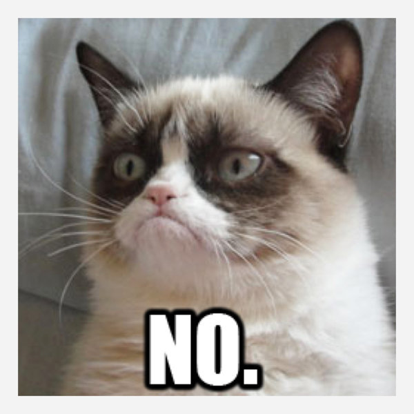 Best Grumpy Cat Memes 1.jpg