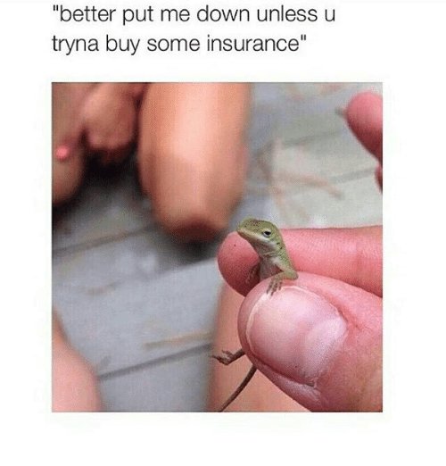better-put-me-down-unless-u-tryna-buy-some-insurance-2290362.jpg