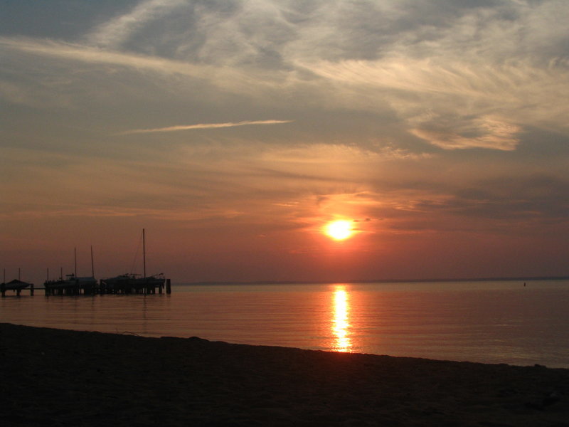 Betteron 2008 (16).jpg