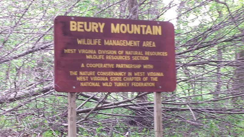 Beury Mountain.jpg