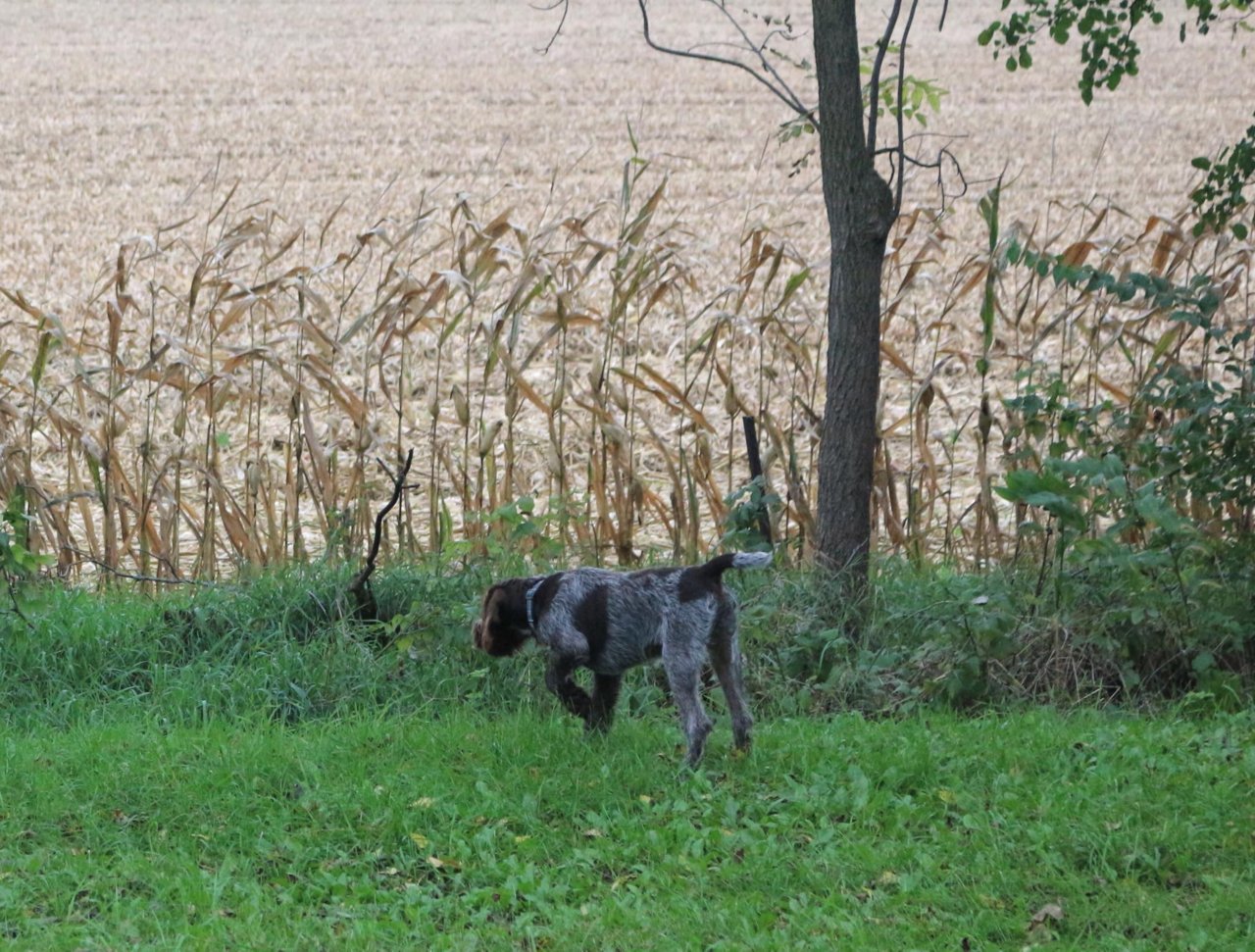 BFFA9F24-CB07-43C6-89AC-285549F7C08B.jpg