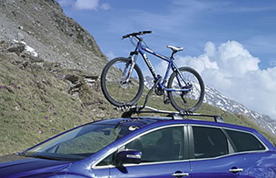Bicycle_Attachment_large_74b950afaaf9d31e936037a75393d5c0c4e04738.jpg