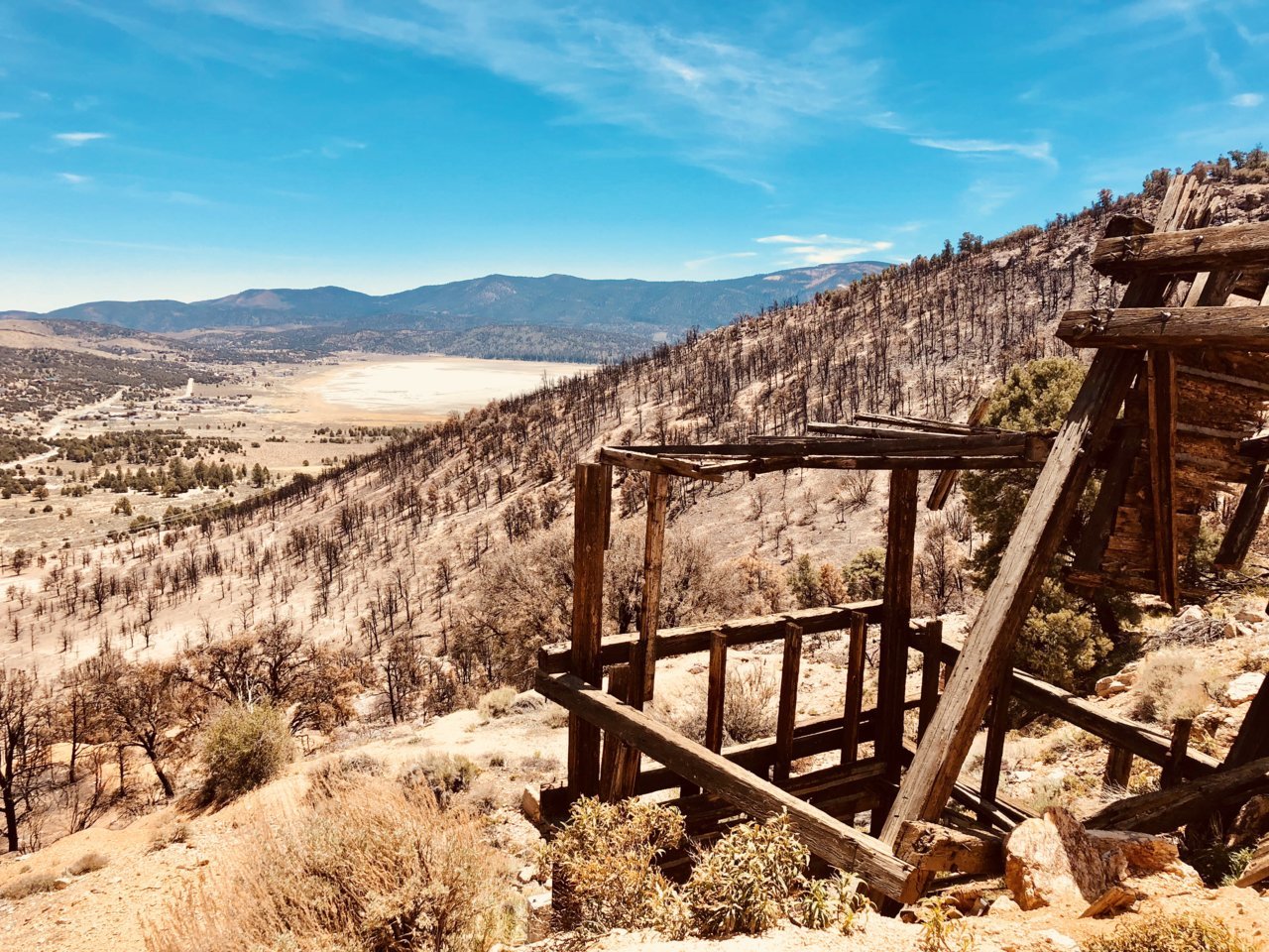 BIg Bear 2.jpg