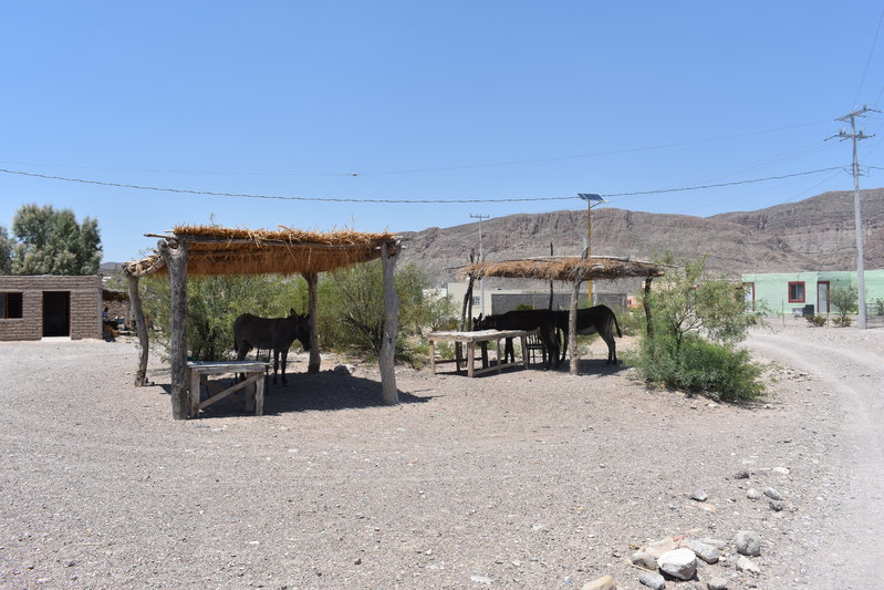 Big Bend (22).jpg