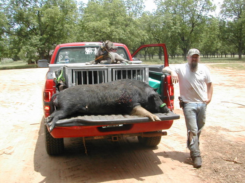 BIG BOAR 003.jpg