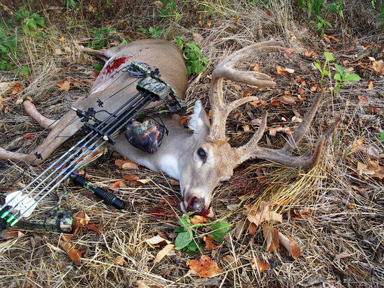 big buck 4.jpg