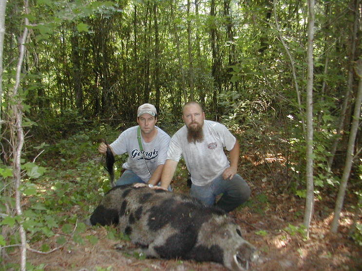 BIG HOG 004.jpg
