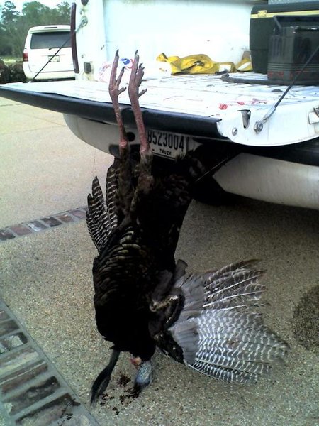 big turkey 1.jpg
