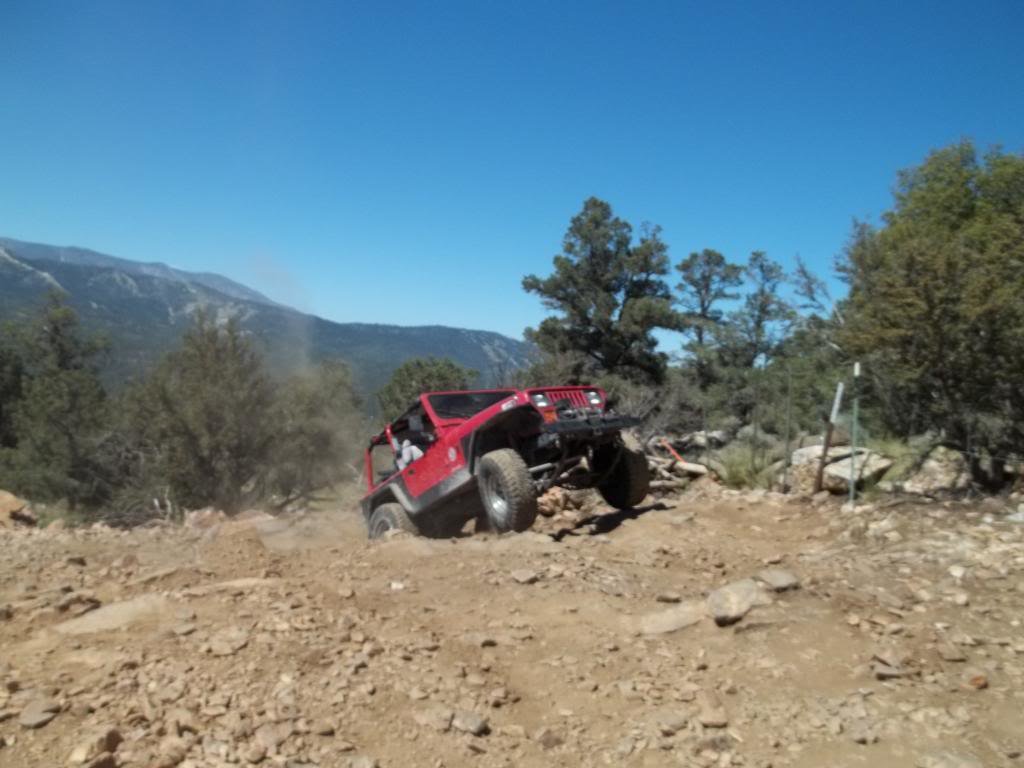 bigbear060114001_zpsc82685d6_5d080c5254c06e50f3bb8e24281d3e31cec5b53d.jpg