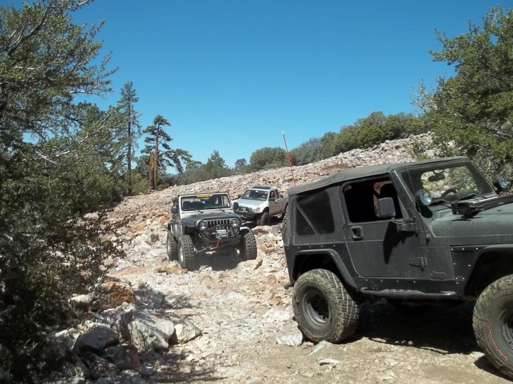 bigbear060114010_zps0c43a90a_5cf27c607b94f2d27e1240b3ad0d07dfa8c79c2c.jpg