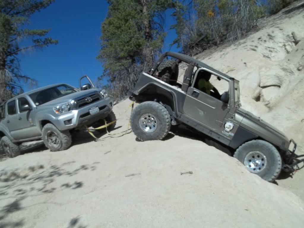 bigbear060114032_zps5ad0b019_cd3fcbde4e5e5f426a3d3f11eac216d2896c0b0d.jpg