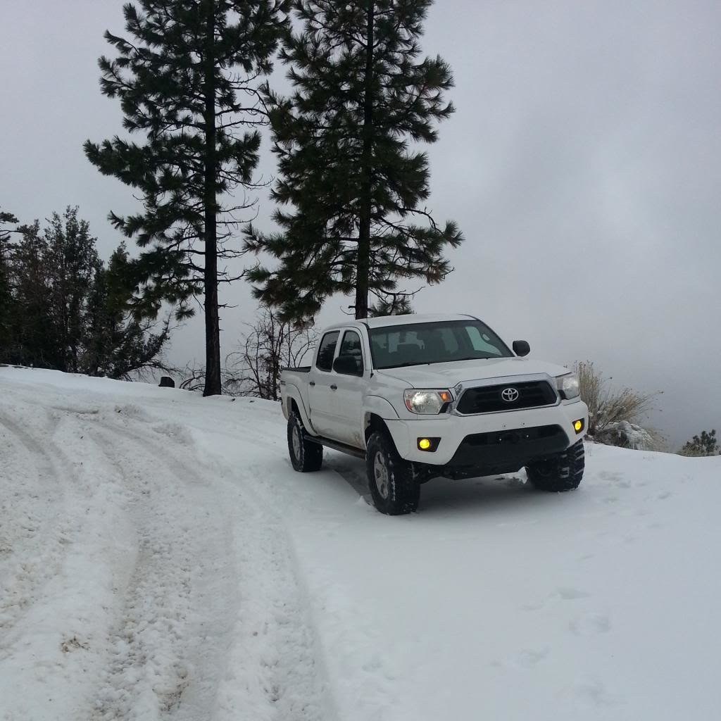 BigBear2-2-14021_zps6709779c_87ed7cd4f781f2a6b7ae30adcc7522dfc90238d4.jpg