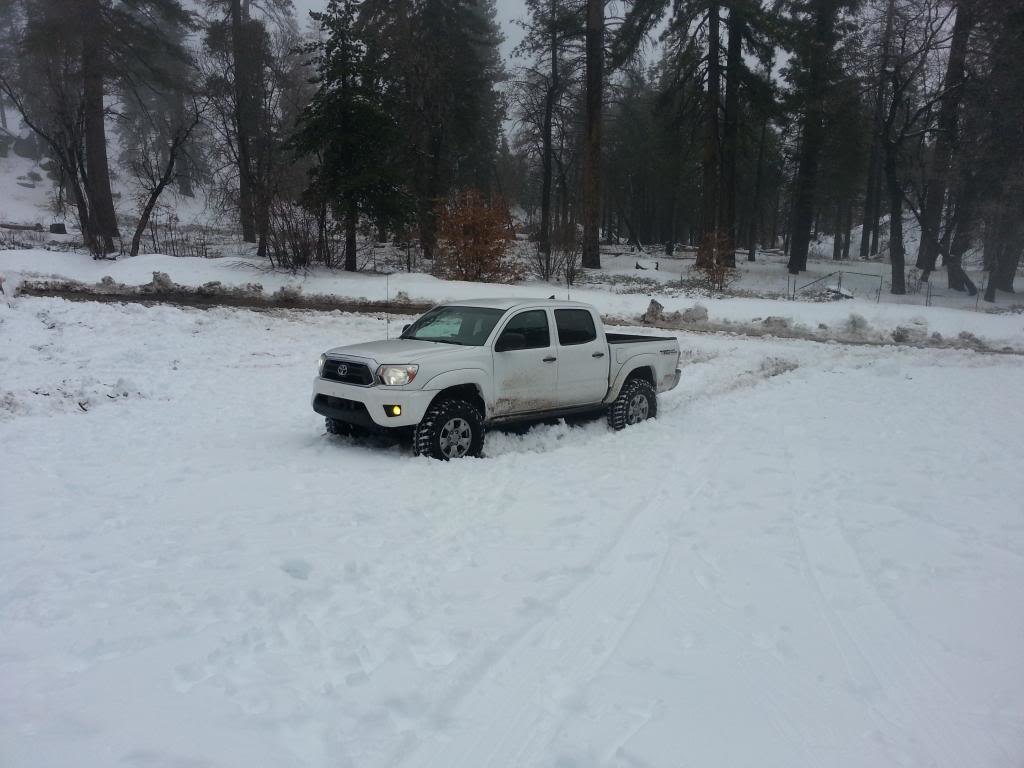 BigBear2-2-14033_zps6906c421_e5bb613a8672dc16b6169a2d83cd03b2b0304b54.jpg
