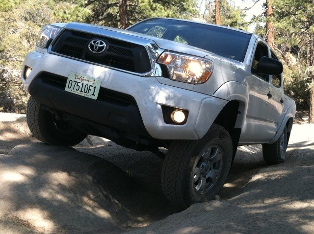 BigBear7-3-12029_bf3806a7cd32438ed750925e93f9725655b4ce7d.jpg