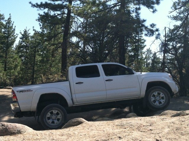 BigBear7-3-12033_c38dc908b049e6e43934d13165761d25dcb7c017.jpg