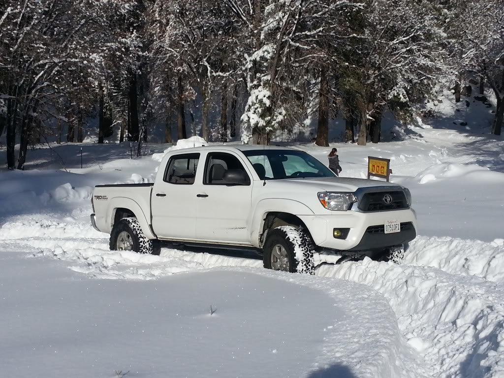 Bigbearsnowday007_ab4ef9e26698cc9dbe658de1905fa228b852760f.jpg