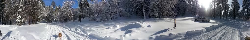 Bigbearsnowday020_6656170f8eab6ef44d425feff5b9c52935b1e85c.jpg