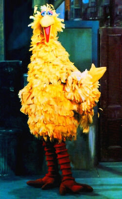 Bigbird1969.jpg