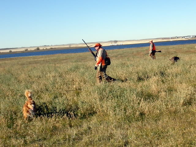 bigcountry_4aee4da66d797a78bbeb33d52f36f203bc7b9d8f.jpg