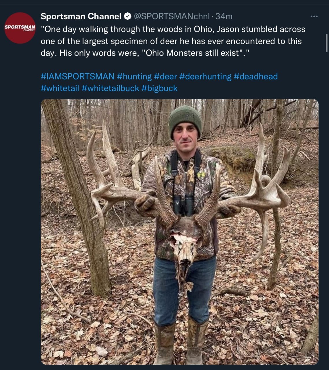 bigdeer.jpg