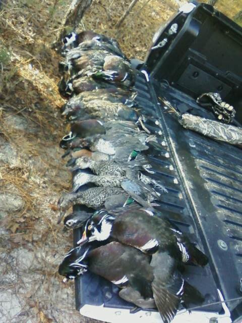 bigduckhunt2_8d50df316cf614ef0b6808fc5ef4382dbdce09ee.jpg