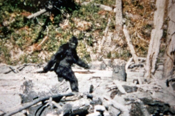 bigfoot.jpg