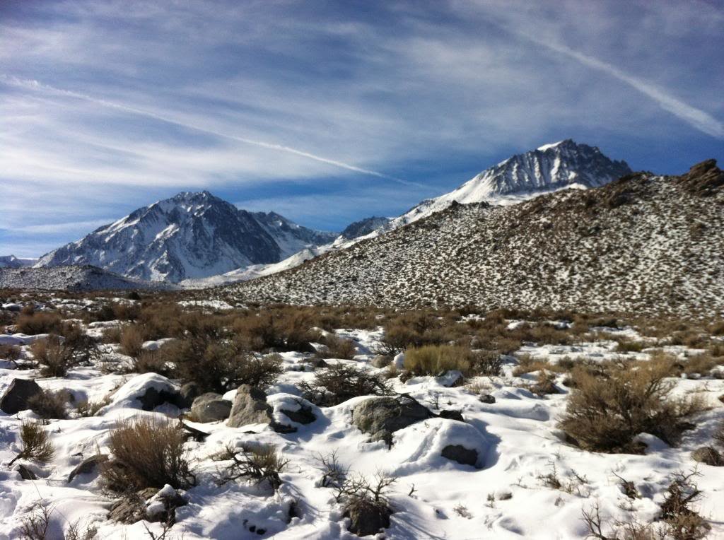 BigPine1_zpsefbb2731_ba2735c925fda6c10dc9cd3d76072fa66fb5b522.jpg