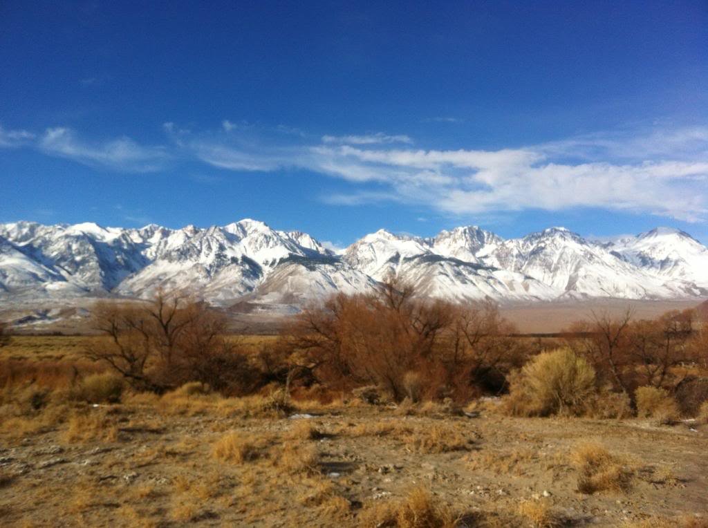 bigpine3_zps4fbb6b28_0551b0e62f47623bdc576c2129ef02fea9acf8ea.jpg