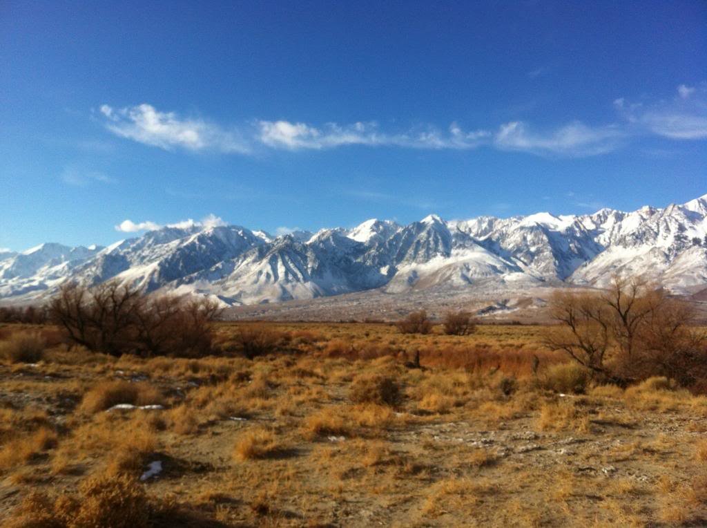 bigpine4_zps05f4e6ea_7e3fe15decdc198b9f2b2ceb78344e0e892a844f.jpg
