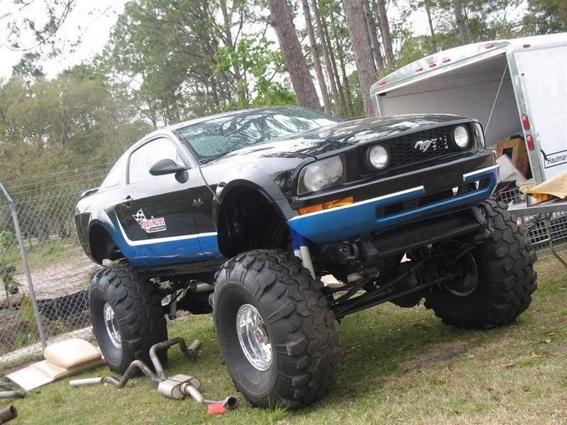 bigstang.jpg