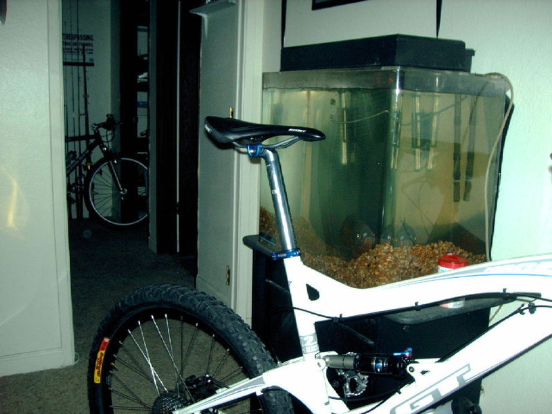 bike 009.jpg