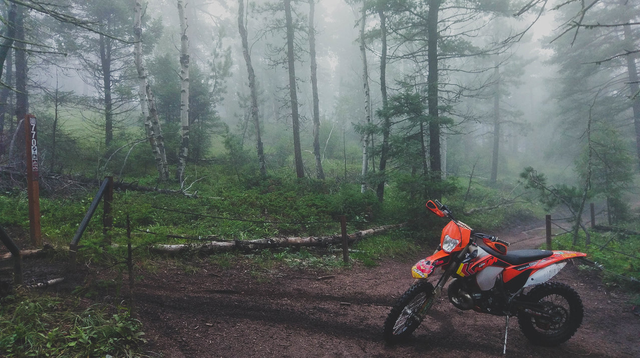 bike 2-2.jpg