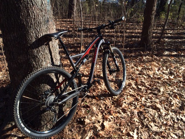 Bike 2.jpg