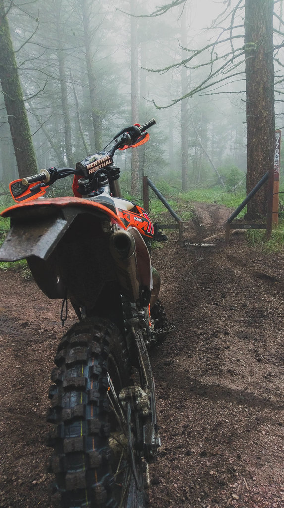 bike-3.jpg