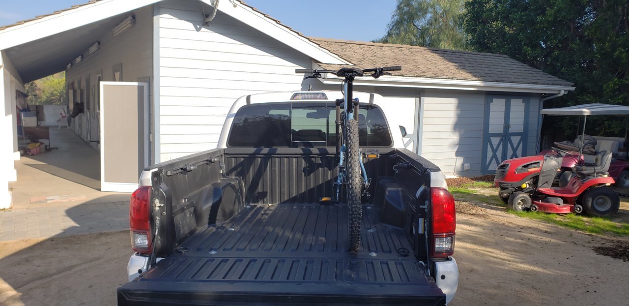bike back.jpg
