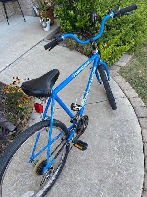 BIKE.jpg