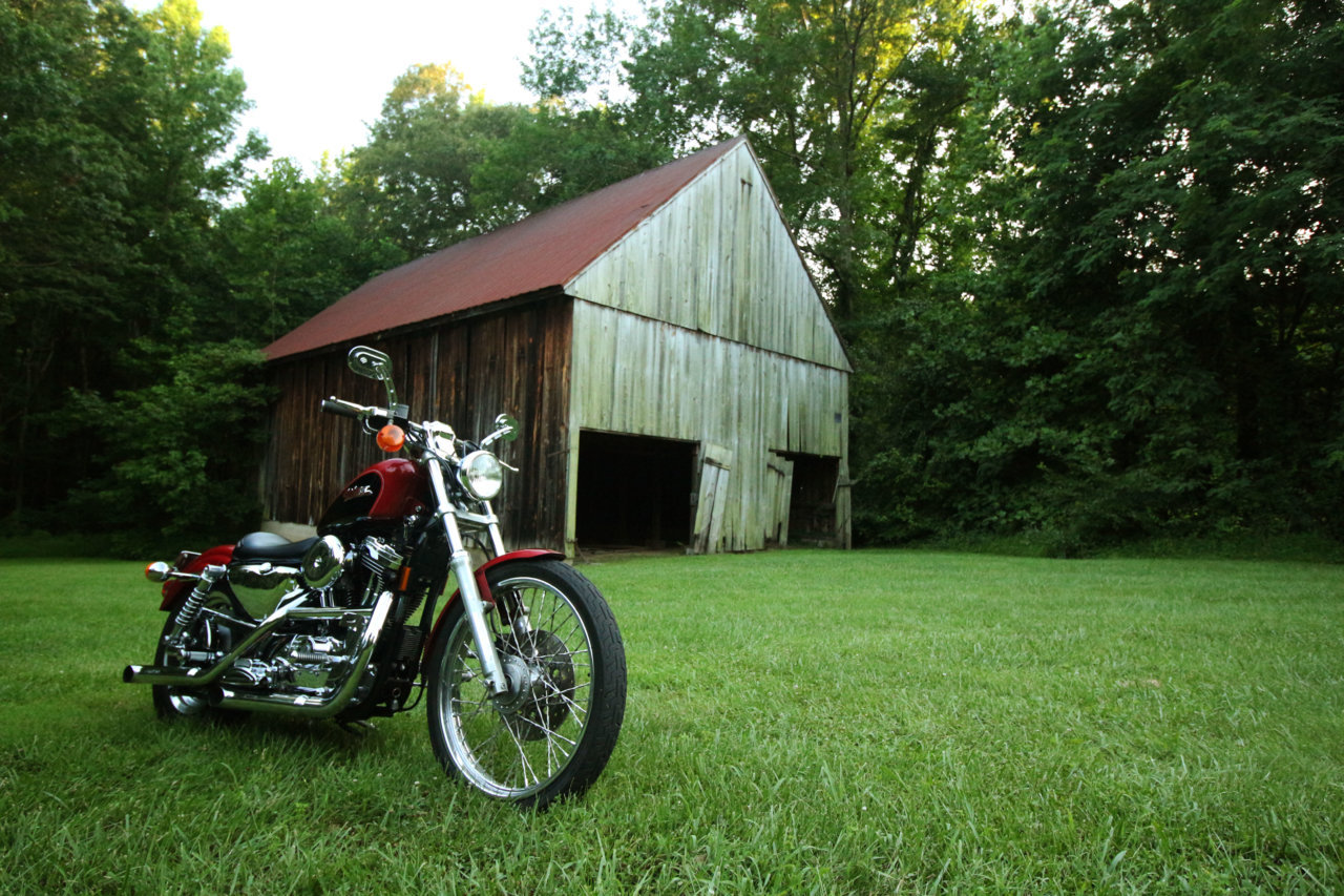 bike15.jpg