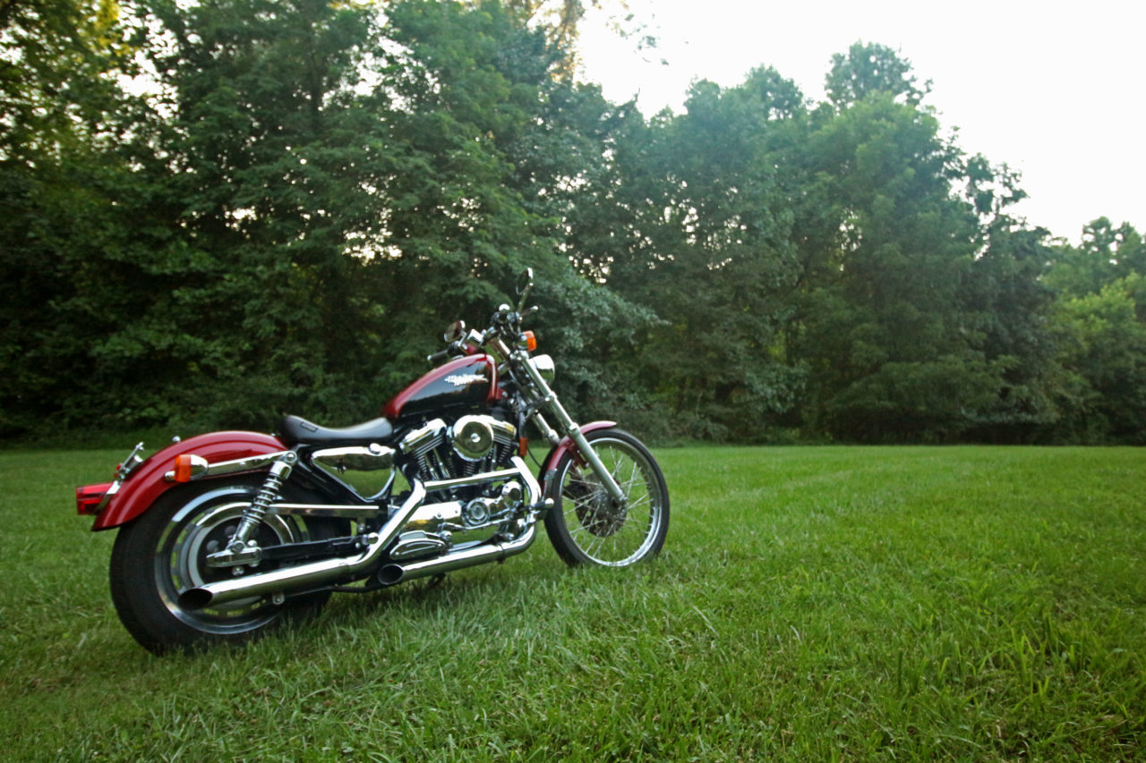 bike16.jpg