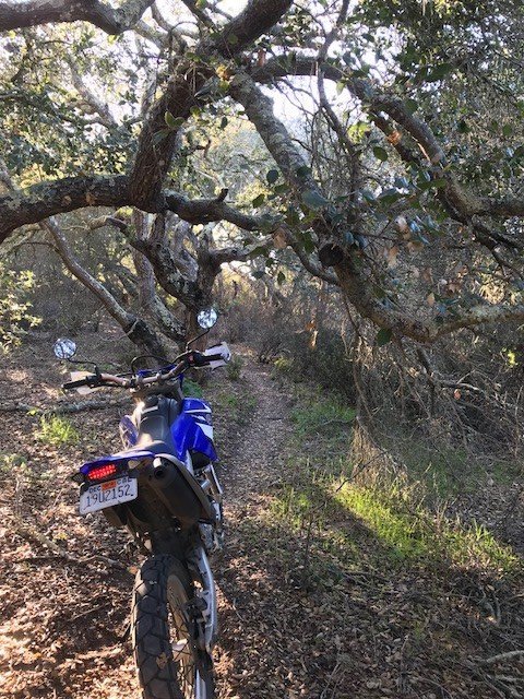 bike2.jpg