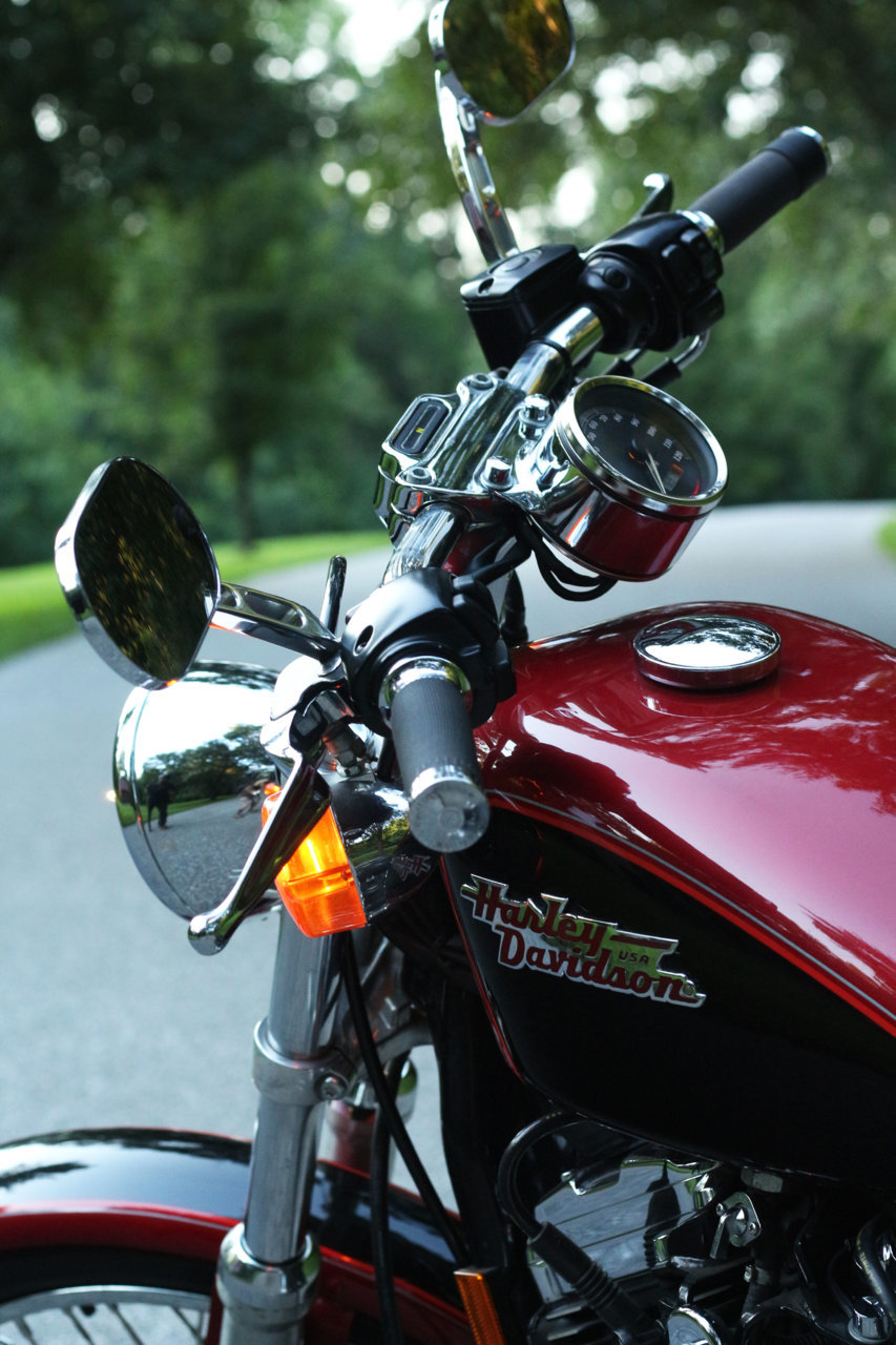 bike4.jpg