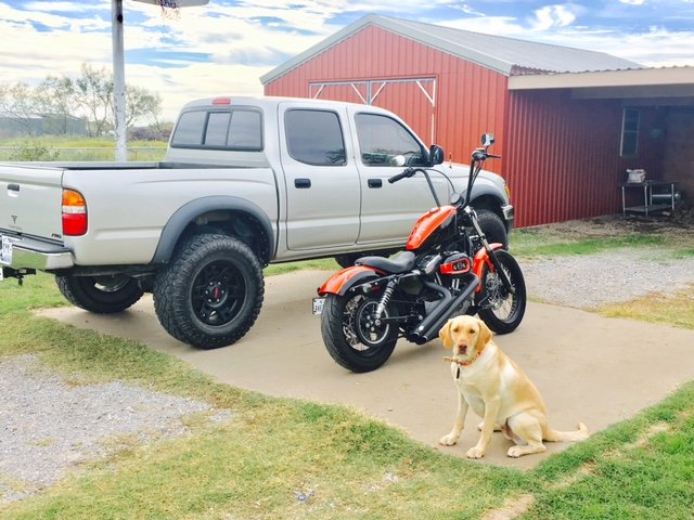 BIKE_zps9mdvunfm_9b6fb67edefd2bd1ee0fd38c7bb8fa0ee707cce0.jpg