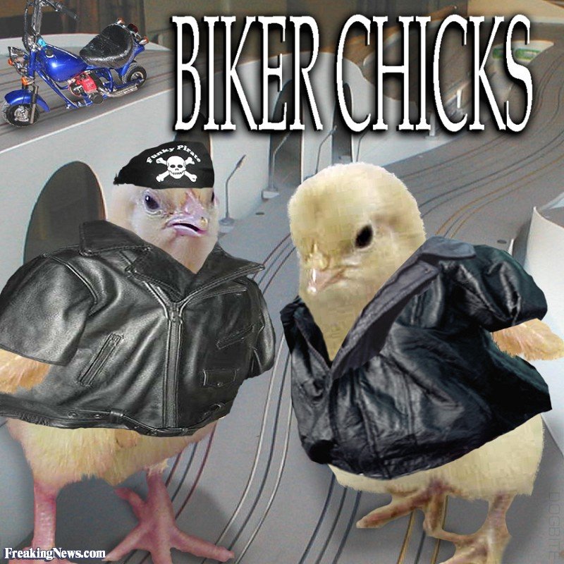 Biker-Chicks--3182.jpg