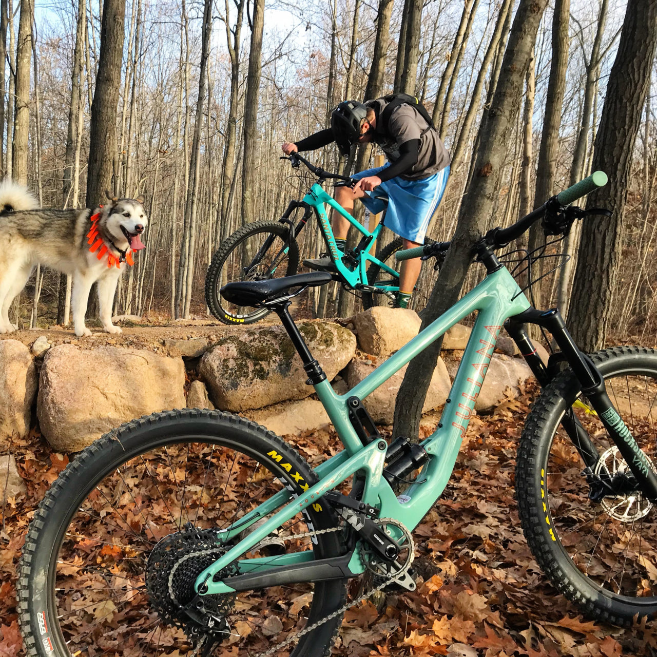 bikes.jpg