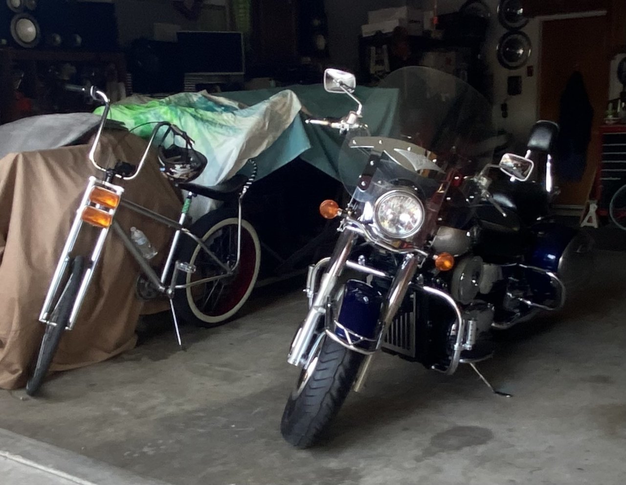 bikes2.jpg