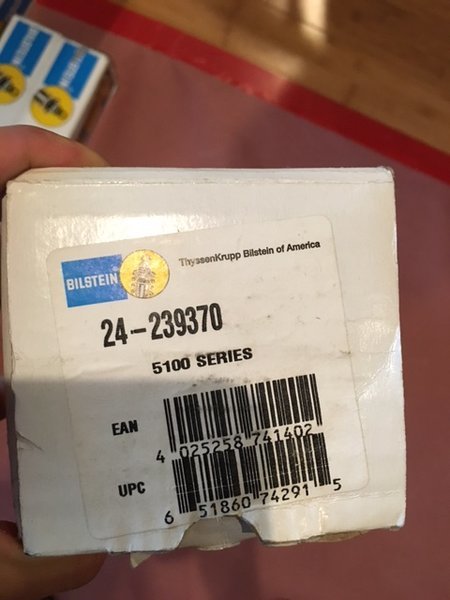 bili.jpg