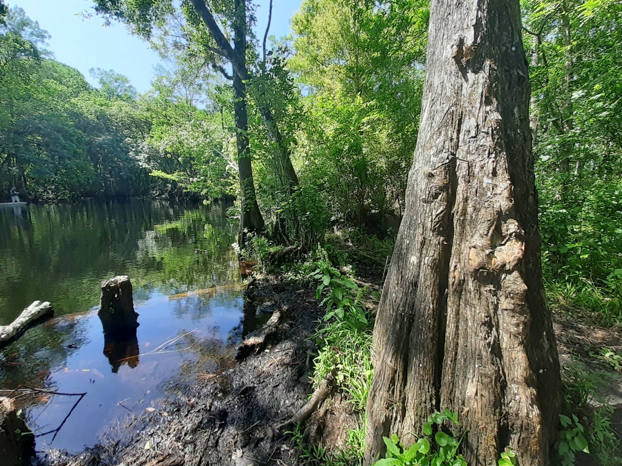 billylake (2).jpg