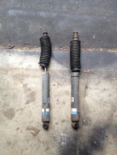 Bilstein Rears.jpg