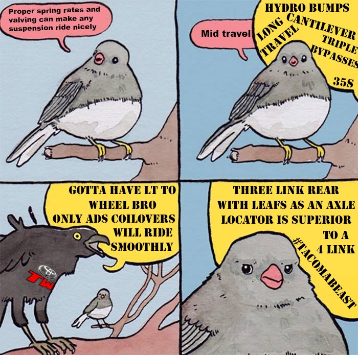 Birb TW.jpg